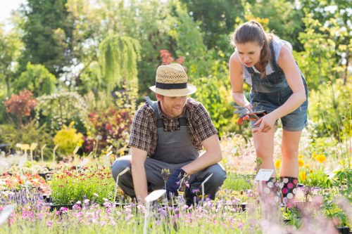 Local Gardener Eltham team working in a residential garden