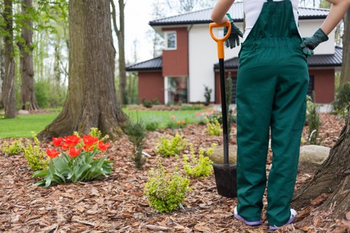 Garden maintenance crew working with hedges