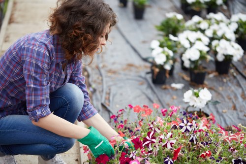 Eltham gardener designing a landscape with native plants